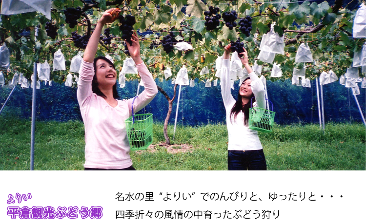 ��肢���q�ό��Ԃǂ����̐���