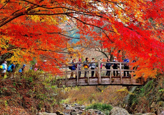 ��ʌ��m���܁@�u�l�C�X�|�b�g�v