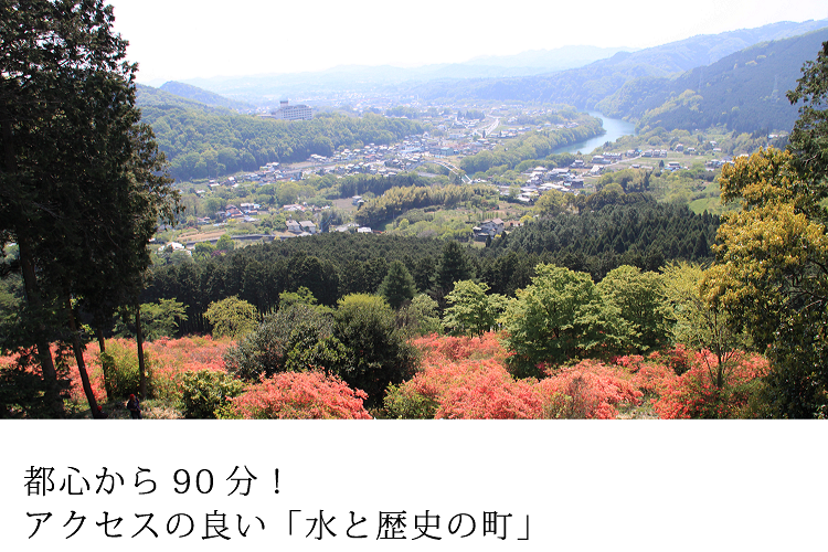 �񋏒����R���猩���낷�񋏒�