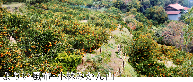 ��肢���z�E���т݂���R�̐���