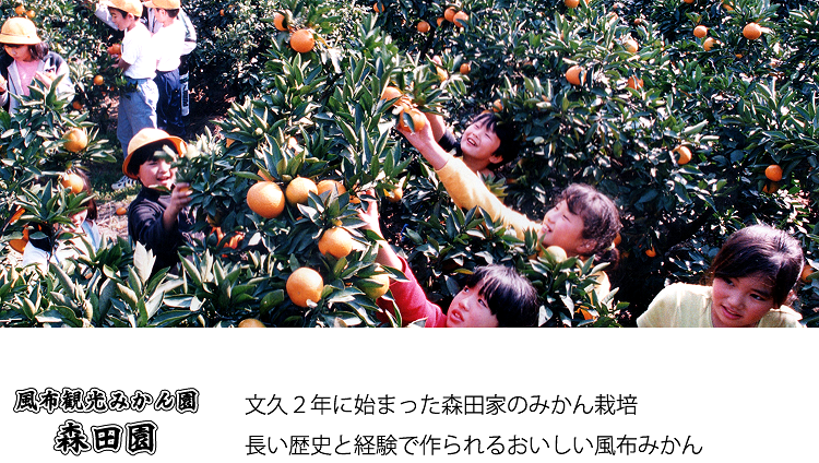 ���z�ό��݂��� �X�c���̐���