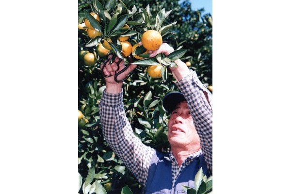 ���q����Ɂu���������v�ƌ�����̂��������ƌ�鉀���B