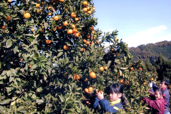 �Ƒ���O���[�v�ŖK��邨�q����������ł��B