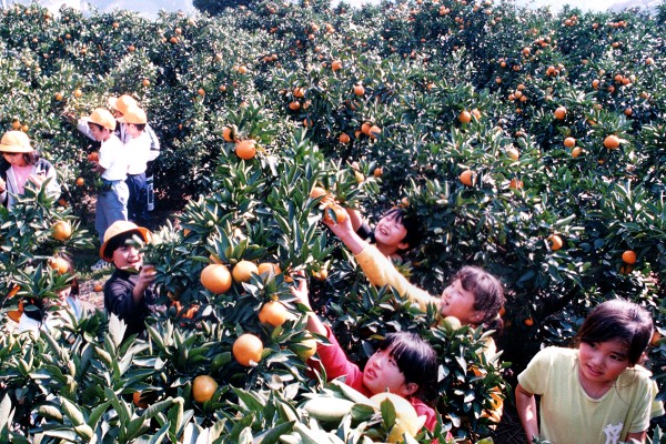 �q���B�ɐl�C�݂̂�����B