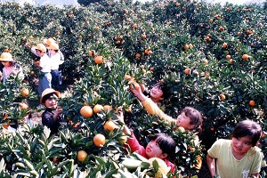 ���z�ό��݂��� �X�c��