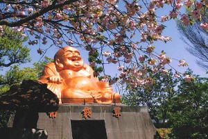 �񋏎����_�C���[�W