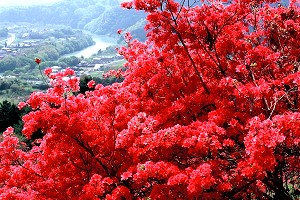 �����R���Ղ�C���[�W