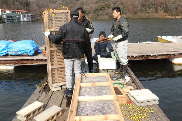 2019�N�@���J�T�M�̗��@�����̂��m�点