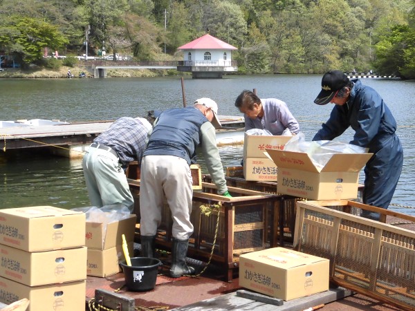 2019�N�@���J�T�M�̗��@�����̂��m�点