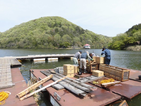 2019�N�@���J�T�M�̗��@�����̂��m�点