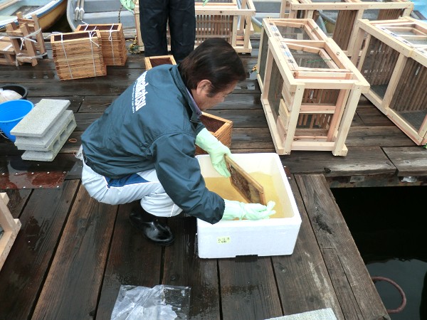 2019�N�@���J�T�M�̗��@�����̂��m�点