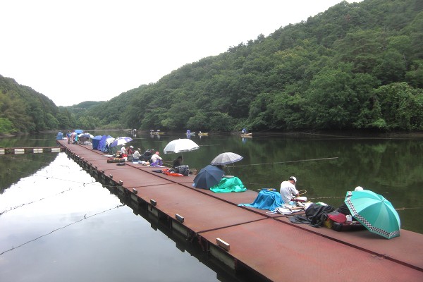 �񋏒��ό�����z�[���y�[�W�@�V���̑��݂ɂ���